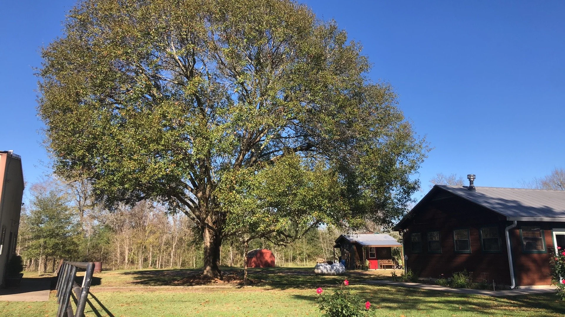 Beannacht: A Blessing for the New Year