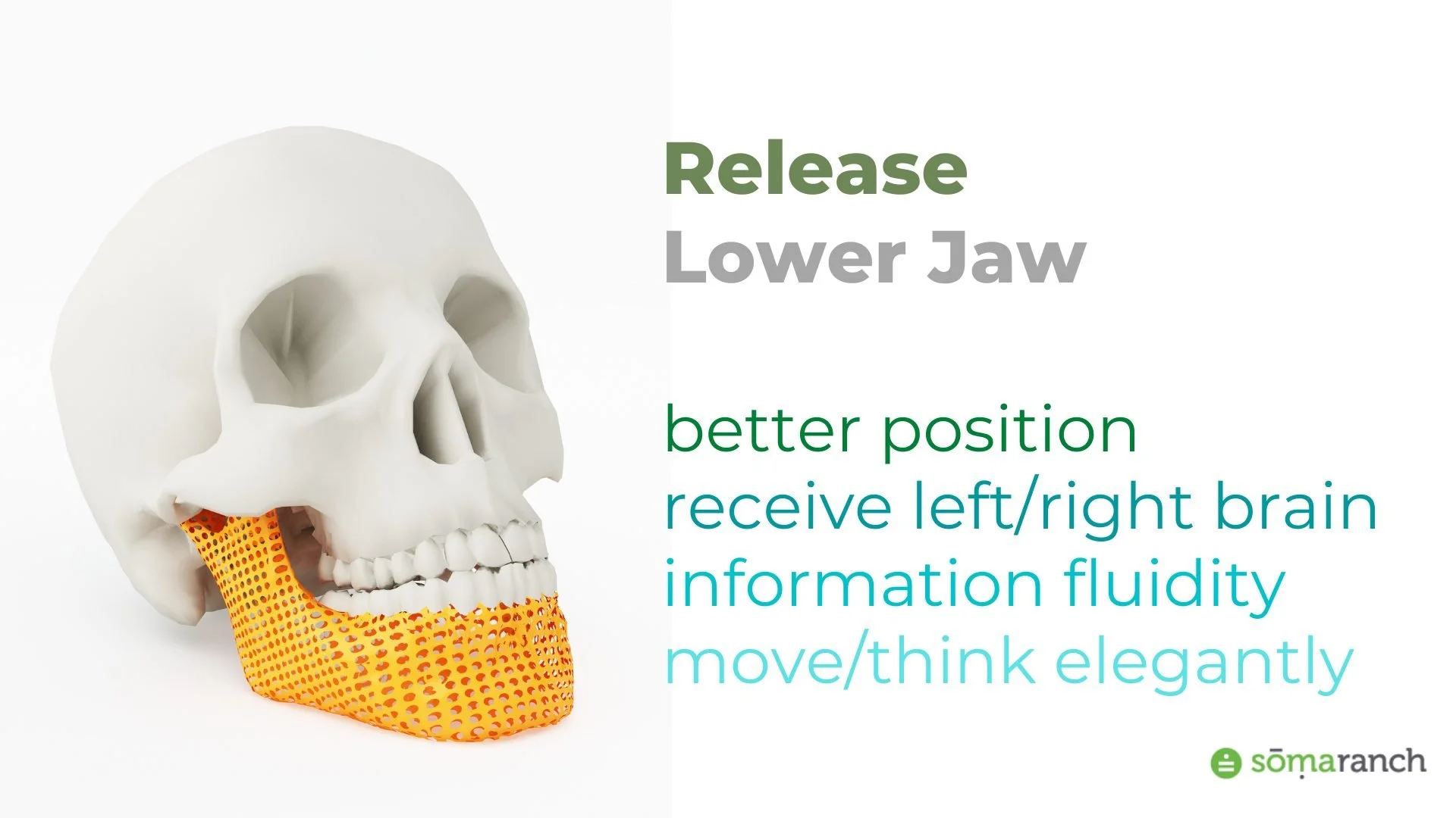 Jaw Dropping Dance Experience