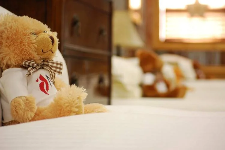 teddy bed soma.jpeg