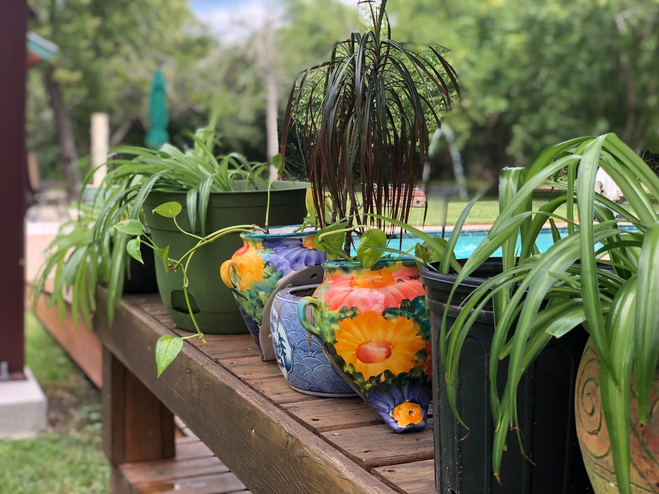 A New Beginning at Soma Ranch