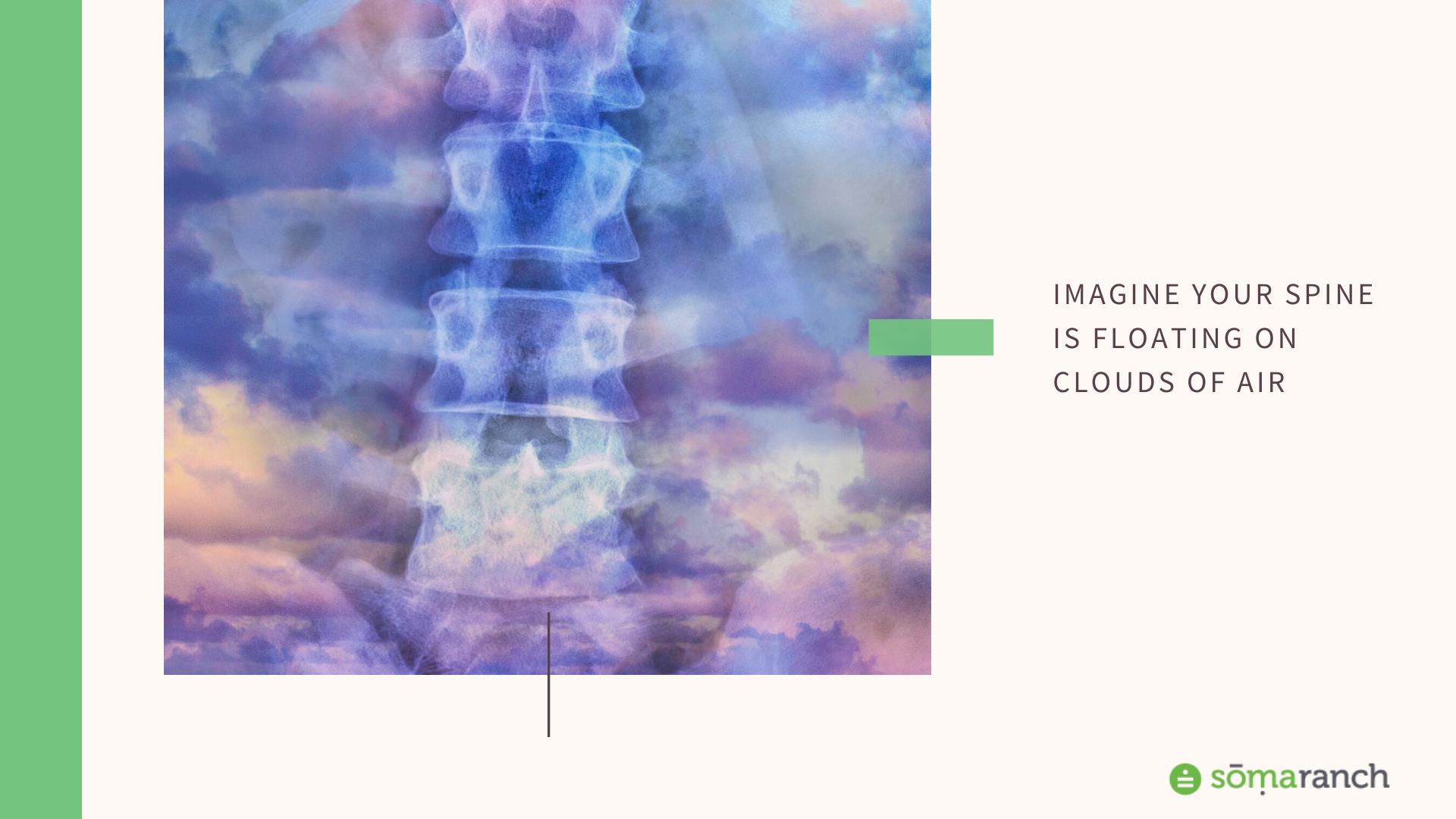 Saturday Morning "Awareness of Bones"