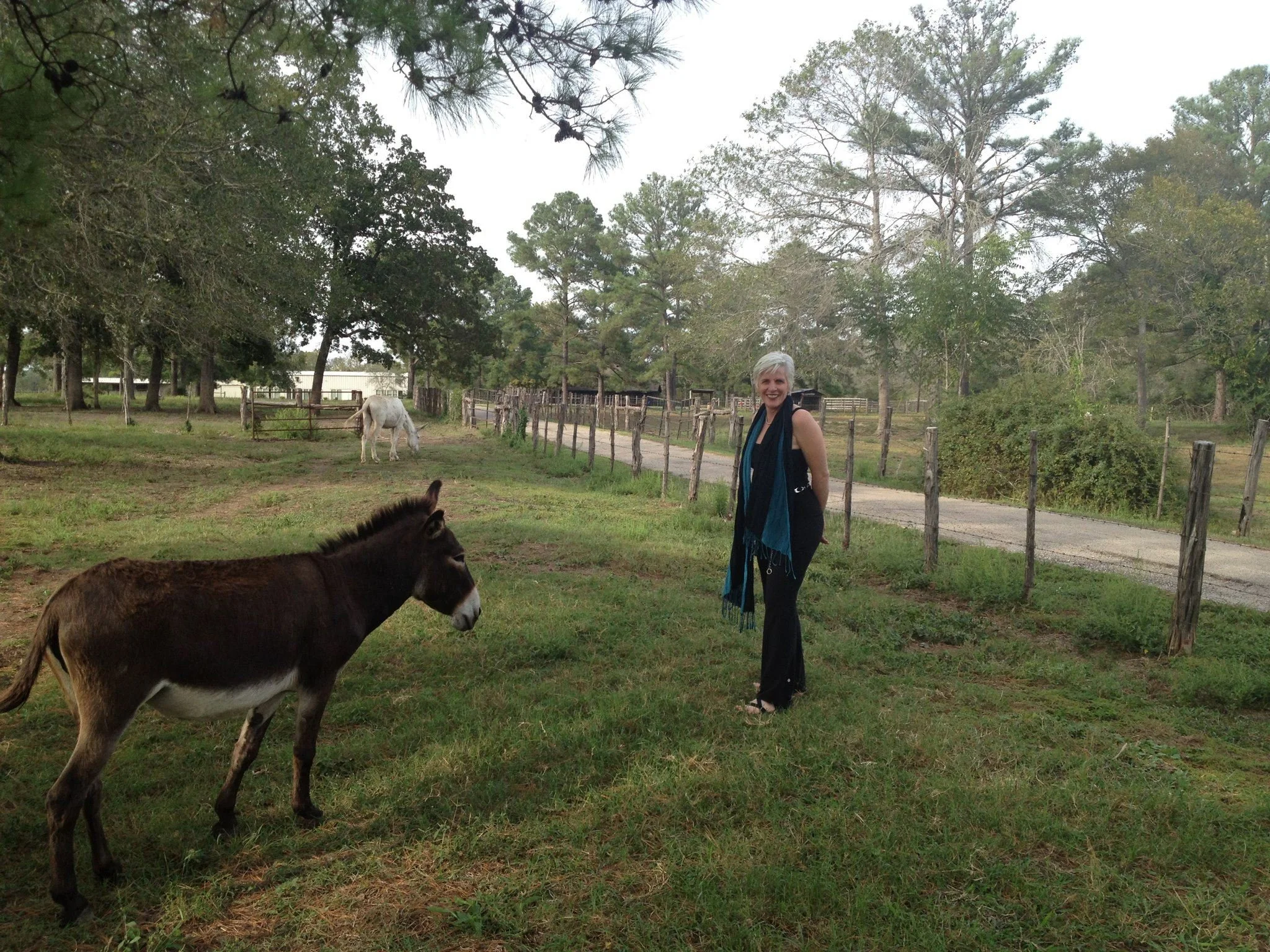 Loretta Soma Green 2012 5.jpg