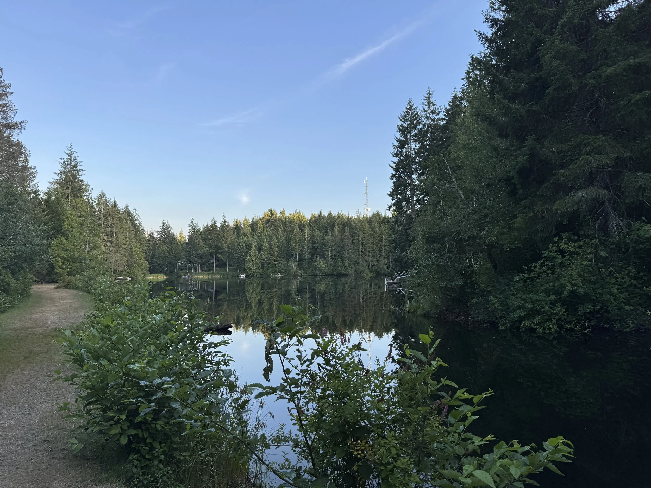 IMG_8953.jpeg