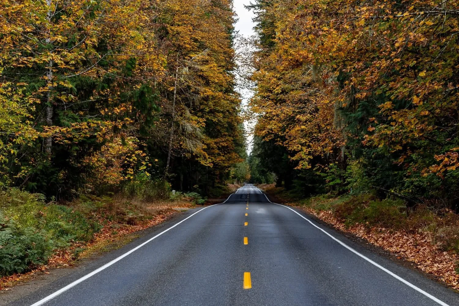 Our Magical Triple Trip: When Time Seems to Bend