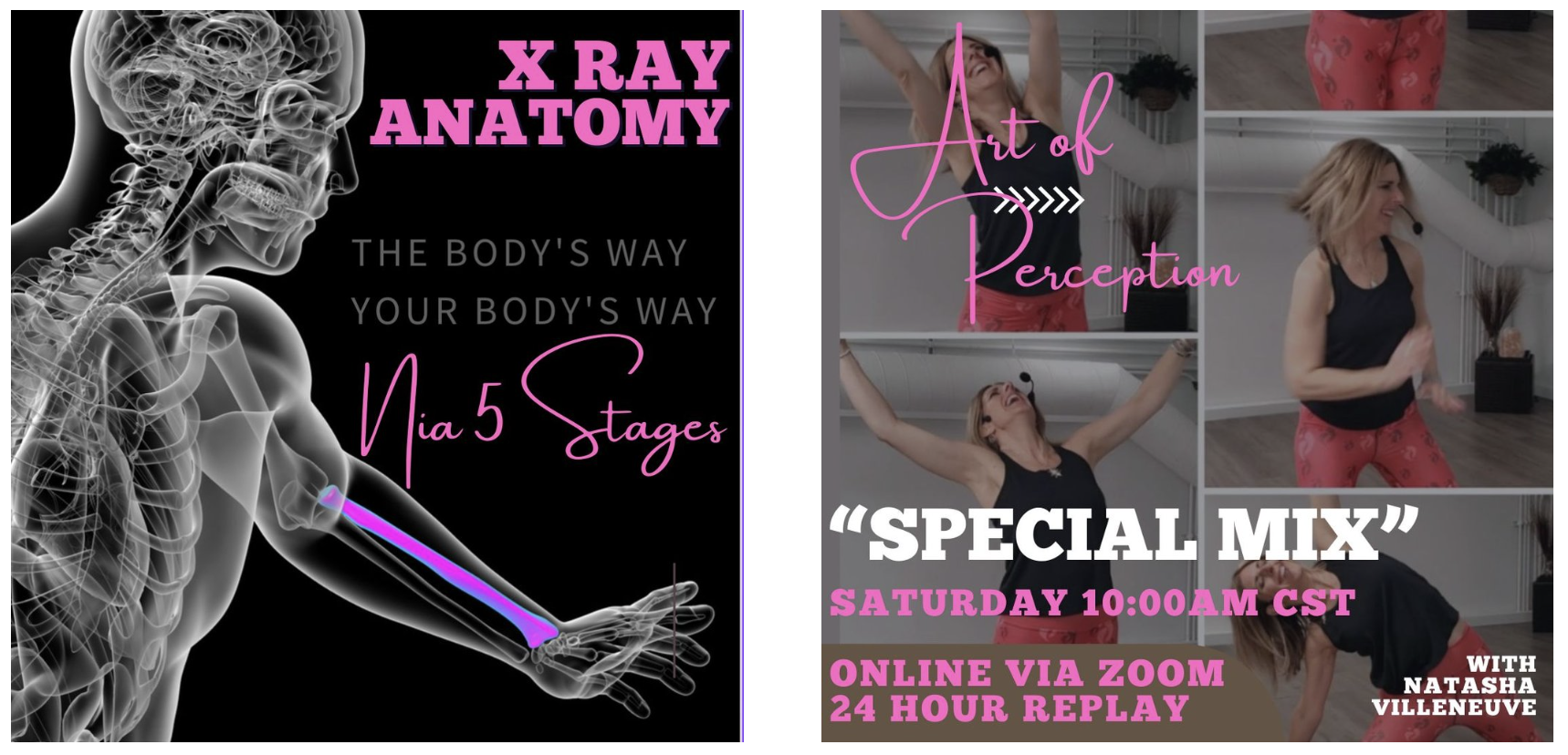X Ray Anatomy and Art of Perception MIX