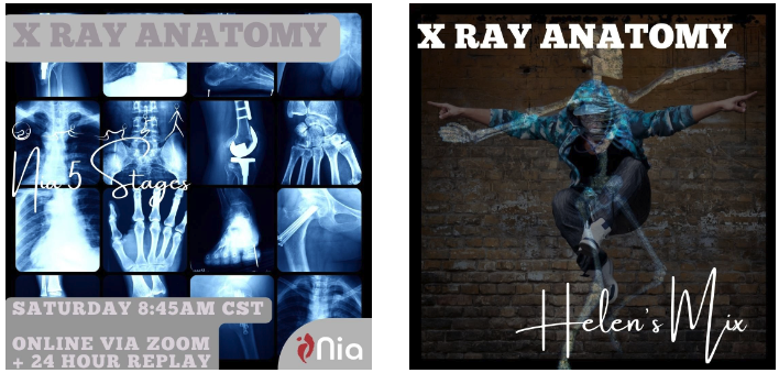 X Ray Anatomy ~ The Art of Sensation