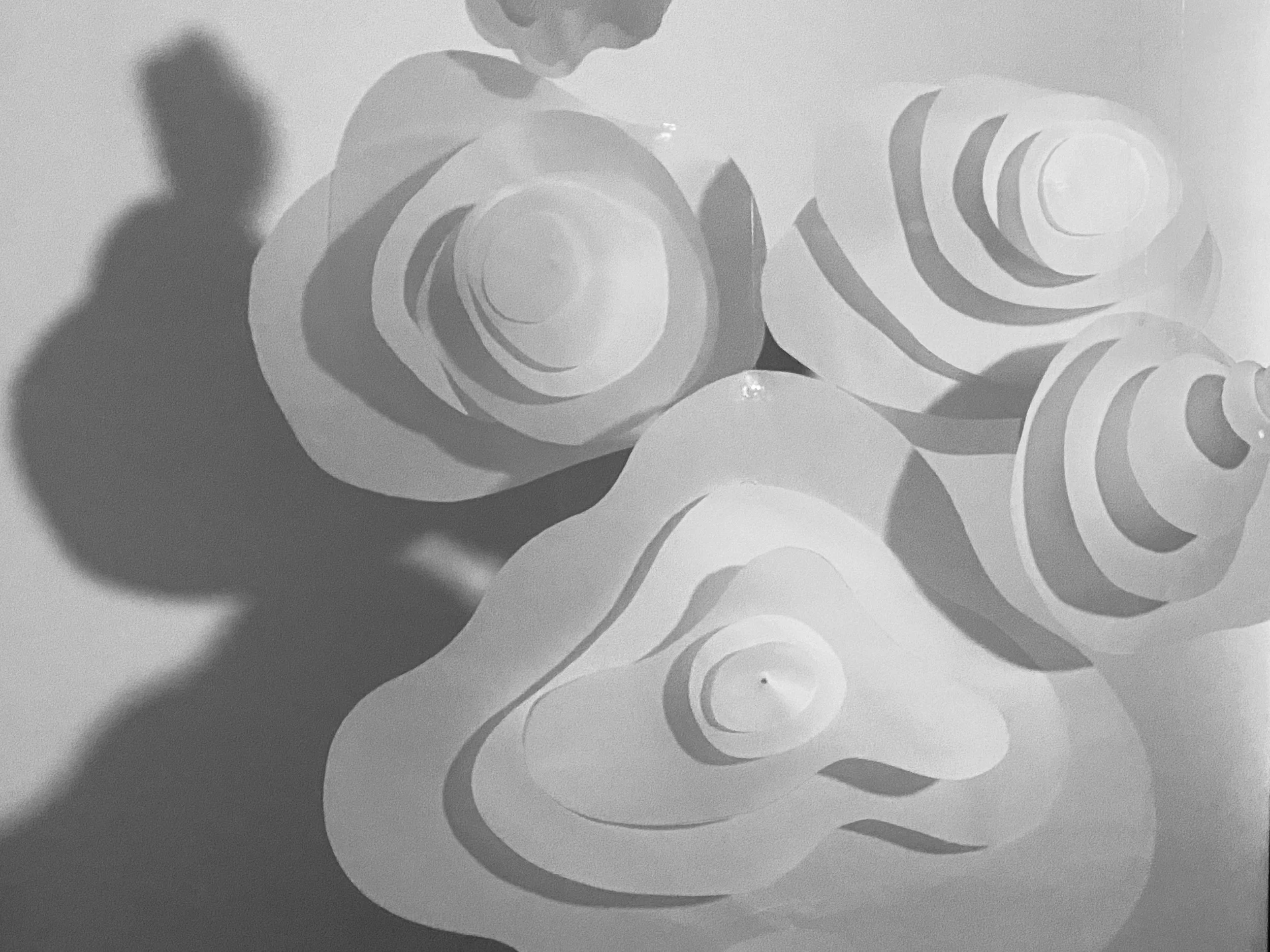 exposition installation artistique lumière et transparence