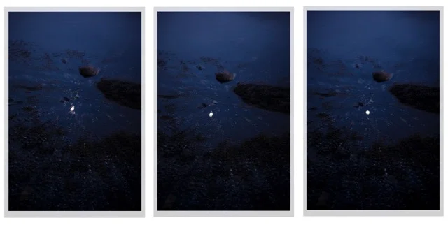 Pellucid All Panels_Web.jpeg