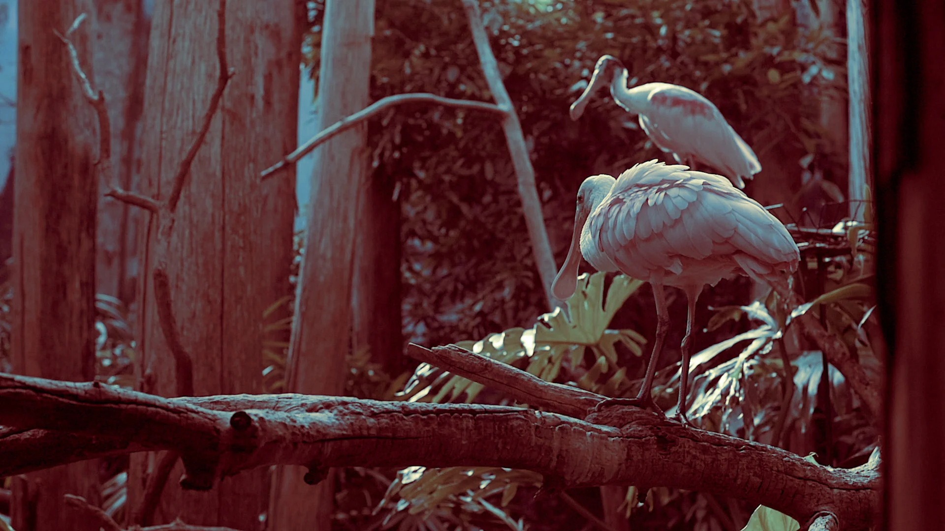 in_the_leaves_02.jpg