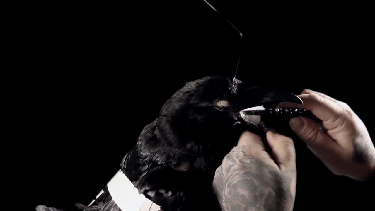 dyslexic odin 6.jpeg