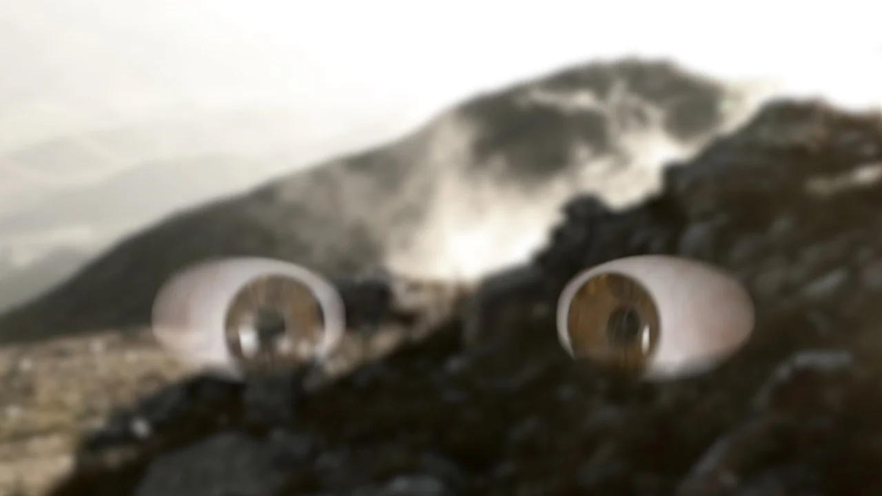 mother of monsters_01.jpeg