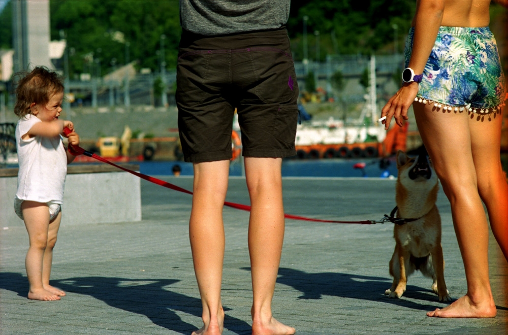 Julia Parks, Girl with Orange Dog.jpg