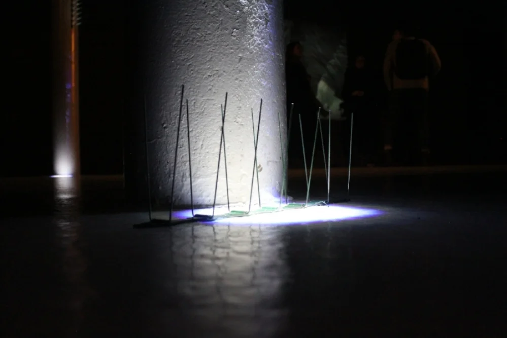 Codified Environments_The Eyes.JPG