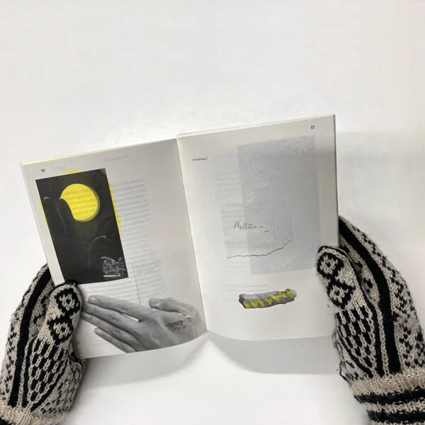 Publication_web_4.jpg