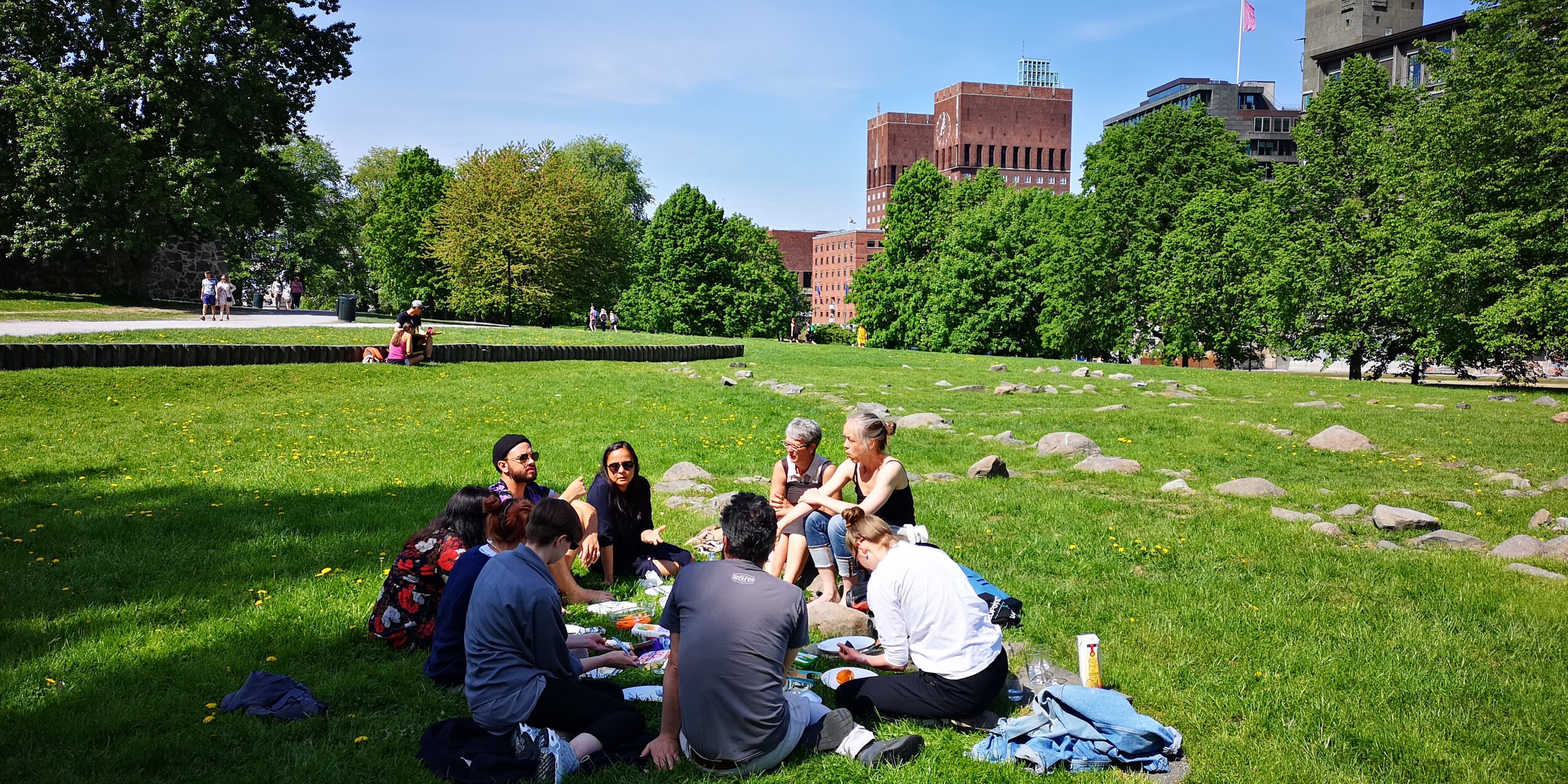 Lunch in the sun.jpg