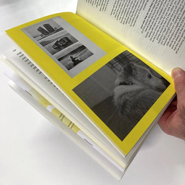 Publication_web_6.jpg