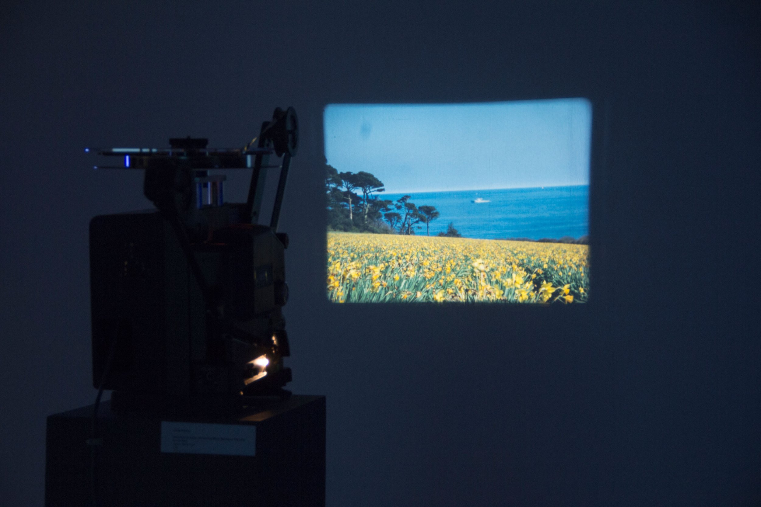 Projection-of-Boat-Film,-2015.jpg