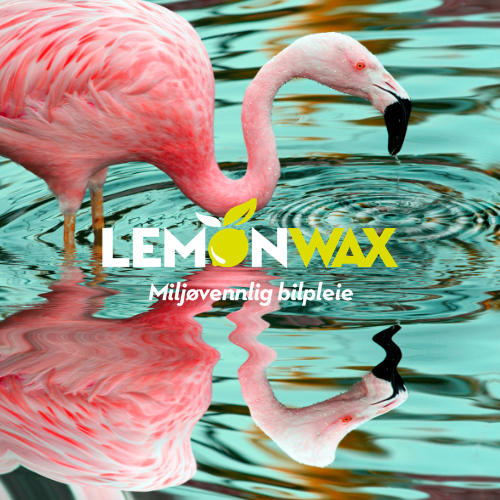 Alle har en liten drøm om å skinne..