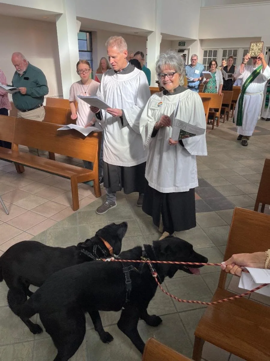 dog friends 2025.jpg