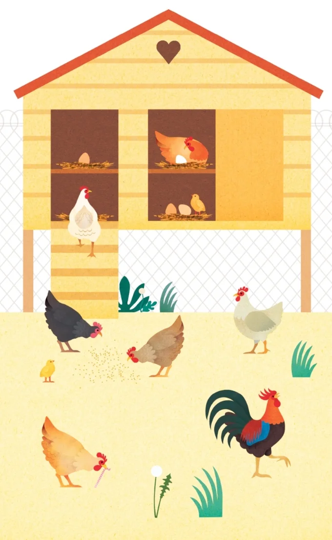 double poule copie.jpg