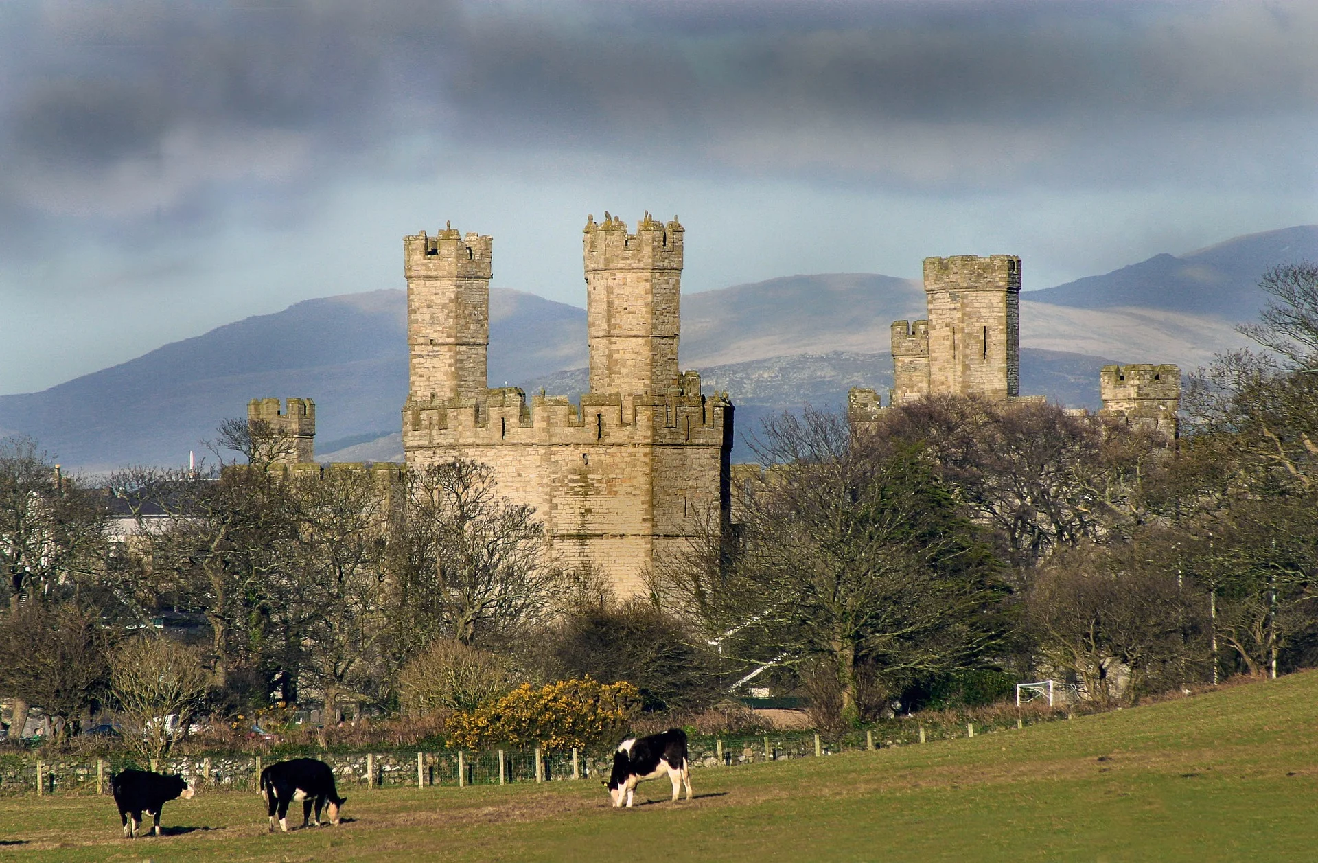 Caernarfon Castle.jpg