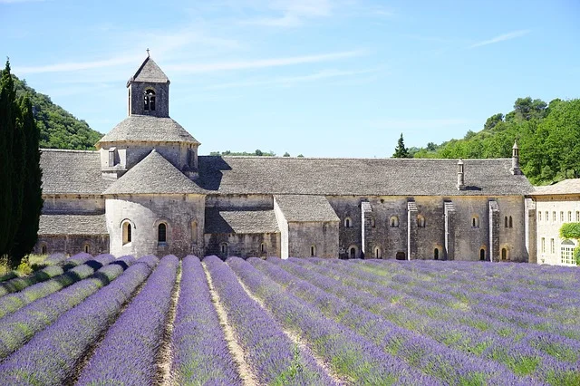 1 Provence Abbaye de Senanque.jpg