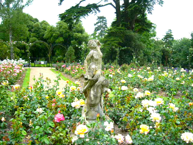 Cotswolds - Blenheim Rose Garden.jpg