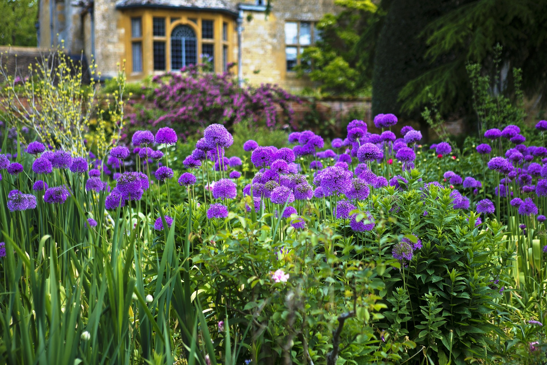 Hidcote Manor.jpg