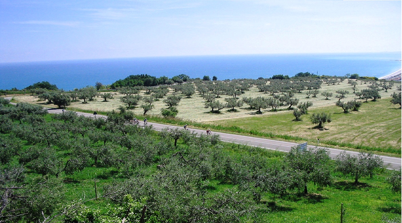 South Adriatic from Abruzzo - Fossacesia Marina.jpg