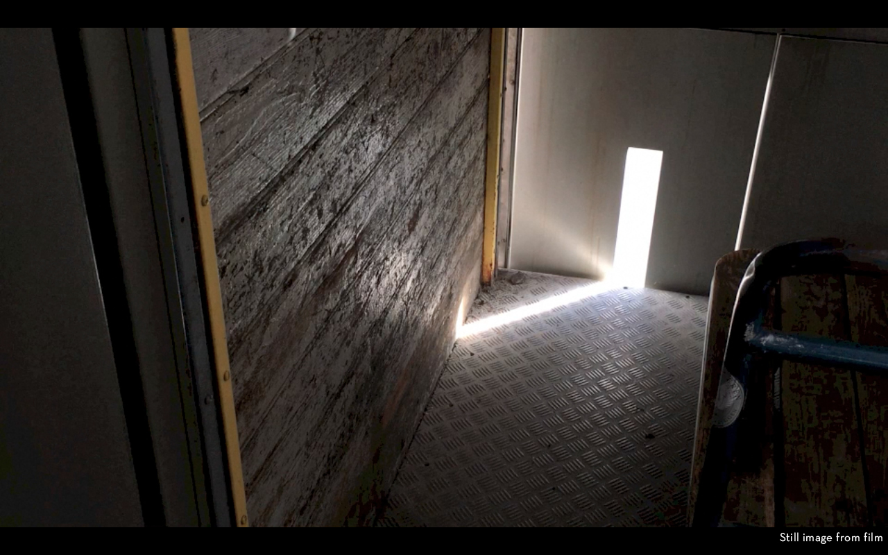 screenshot11.jpg