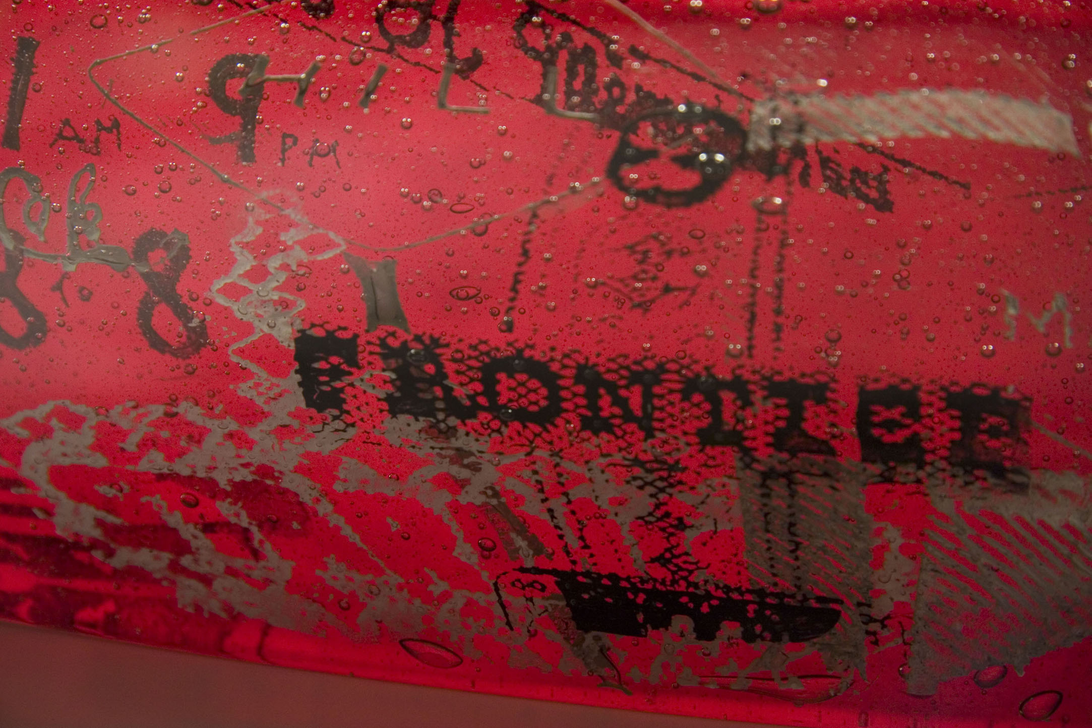 horizon2_detail2.jpg