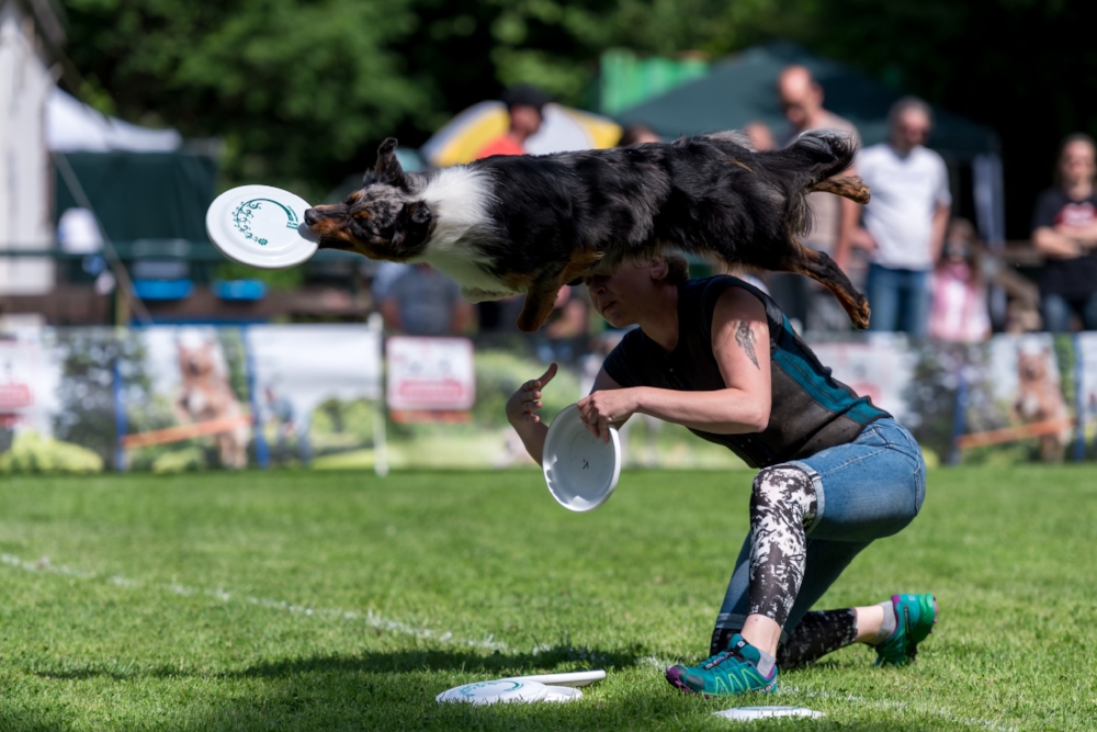 Dog-Frisbee Köln 2017