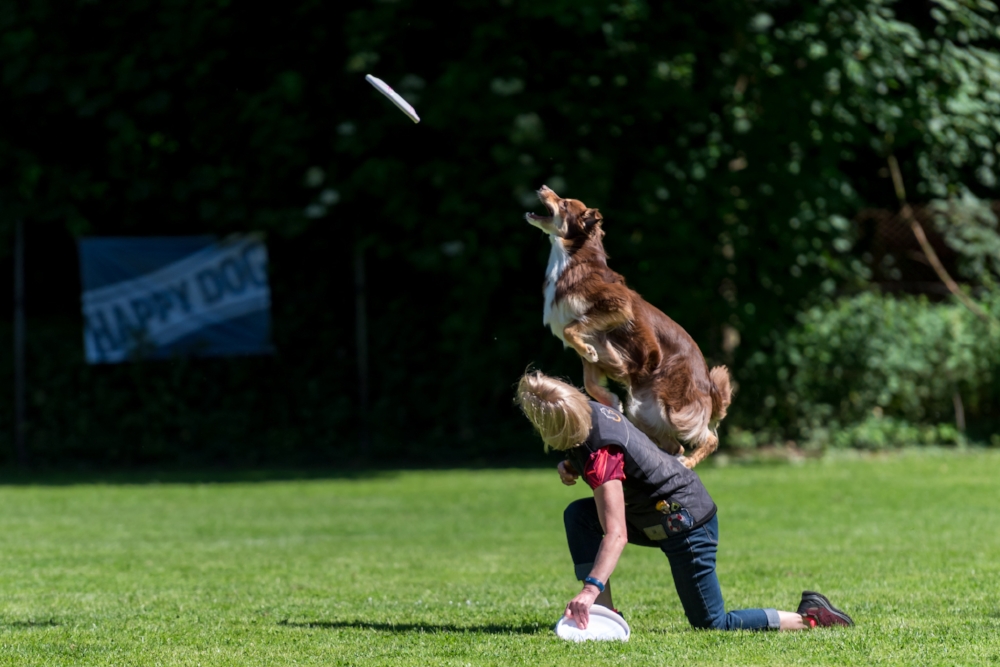 Dog-Frisbee Köln 2017