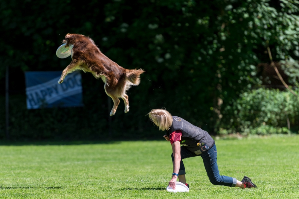 Dog-Frisbee Köln 2017