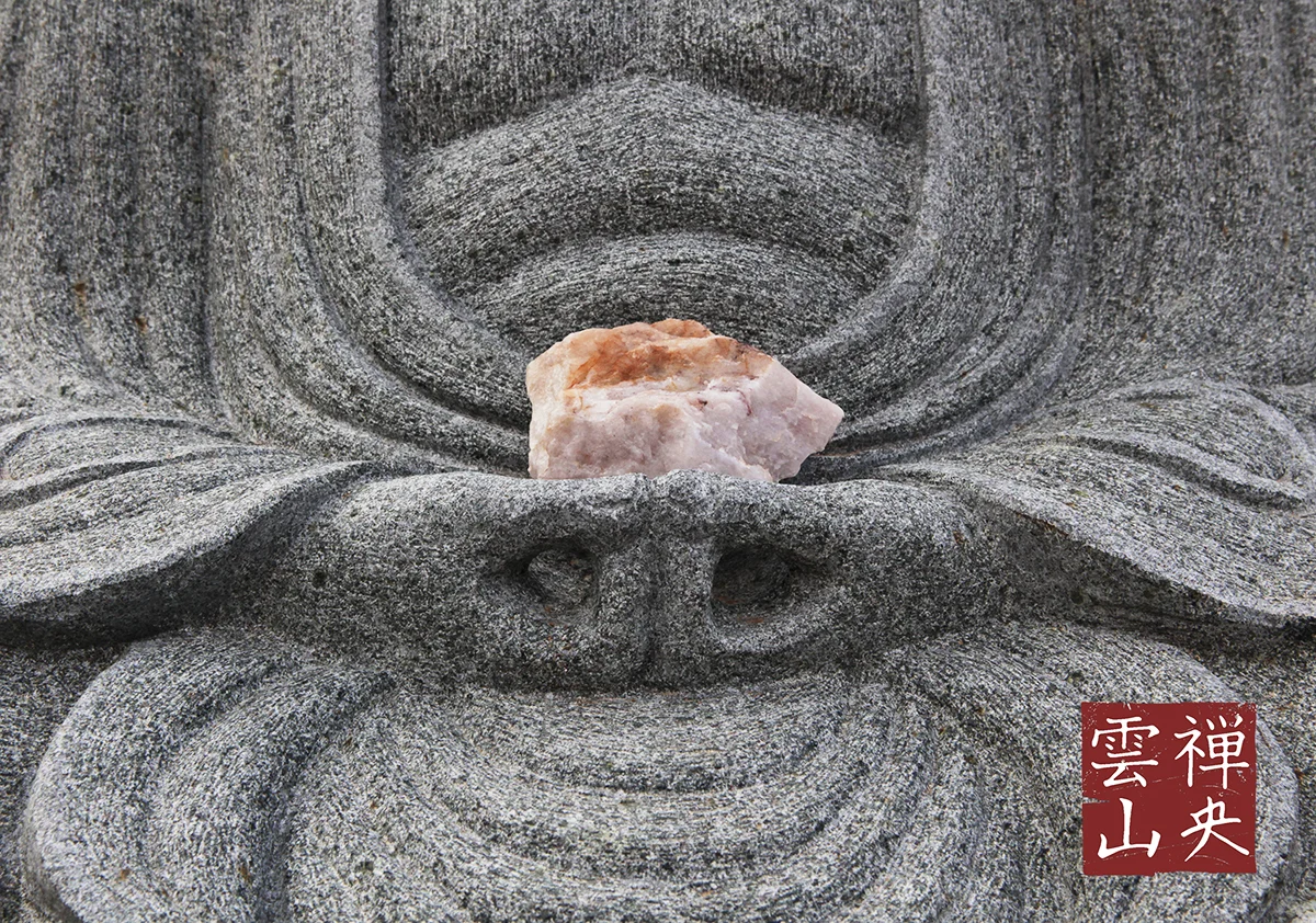 buddha card 1.jpg