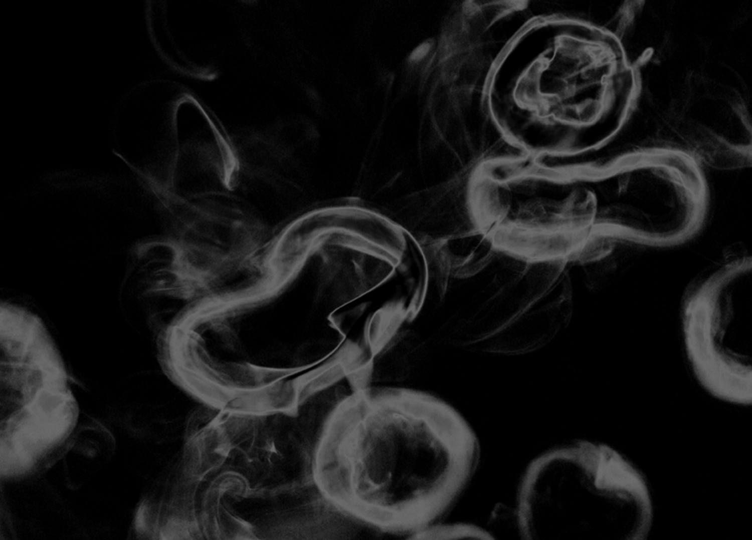 Respiration-series-2.png