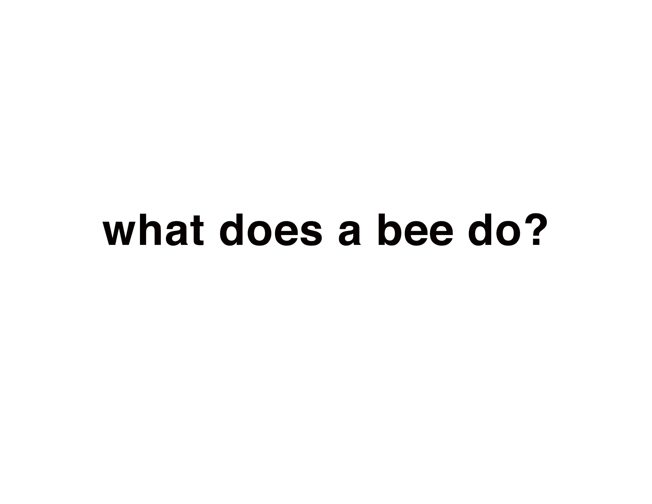 BB logo what bee do ? 1FL .jpg