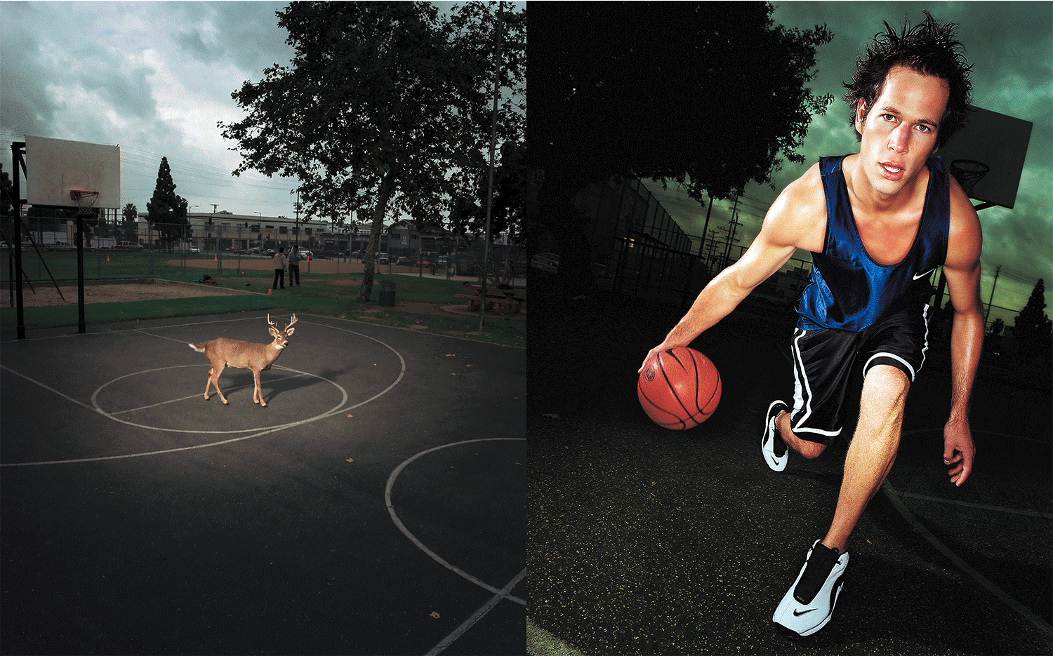 22--buck_dylan_basketball.png
