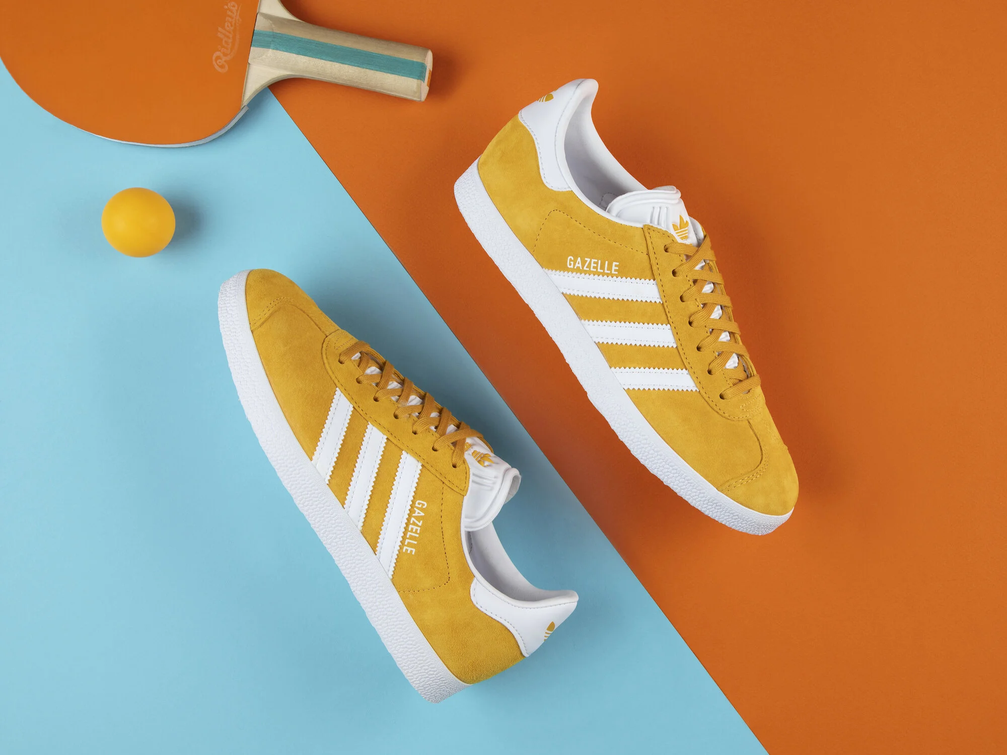 2R2A8802 copie 4 tiers.jpeg