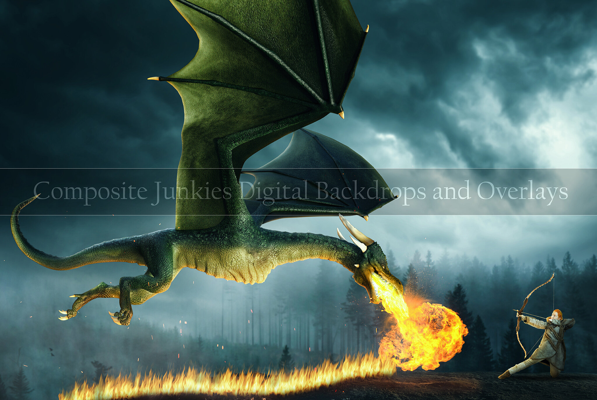 Composite Junkies - Dragon Fire - Model Logo.jpg