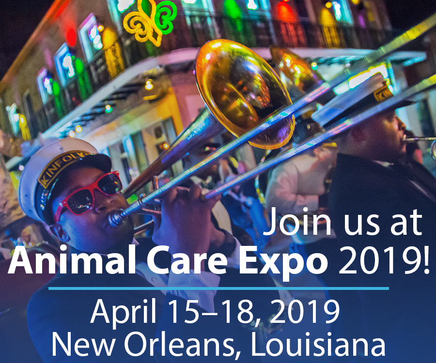 Expo-Ad-Save-Date-large.jpg