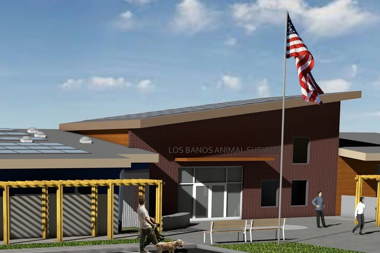 Los Banos Animal Shelter Study Indigo Hammond Playle Architects Llp