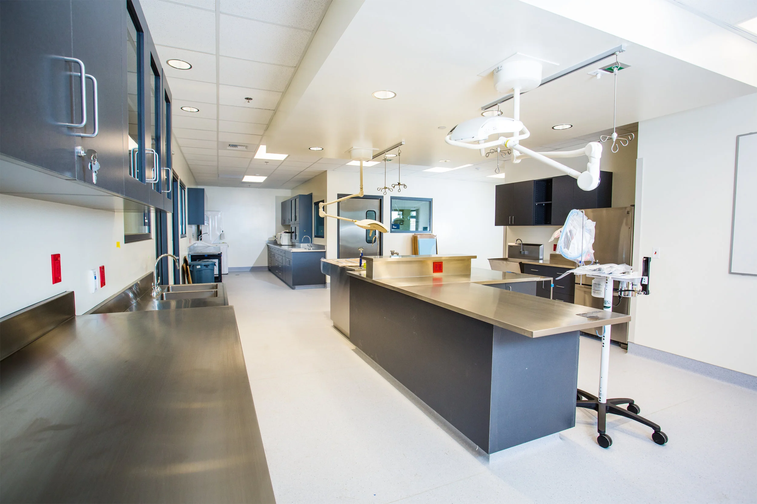 State of the art Veterinary Clinic on-site