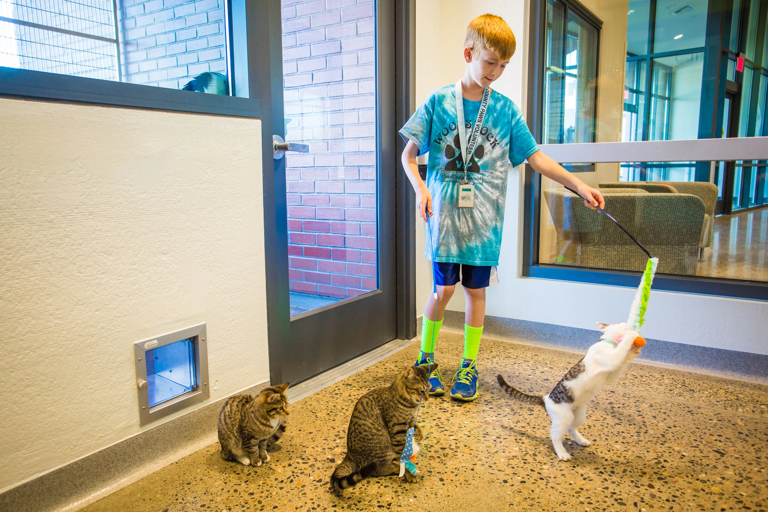 animal-services-center-move-in-039_30547864795_o.jpg