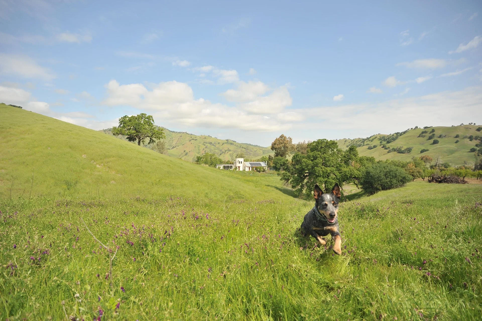 Valley Home Jimmy_1920px.jpg