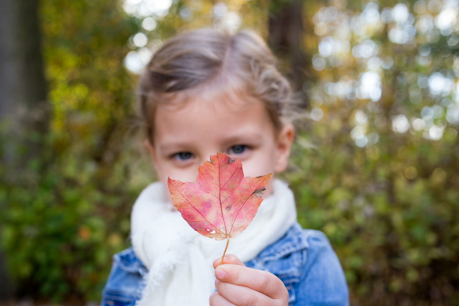 girl with an orange leaf