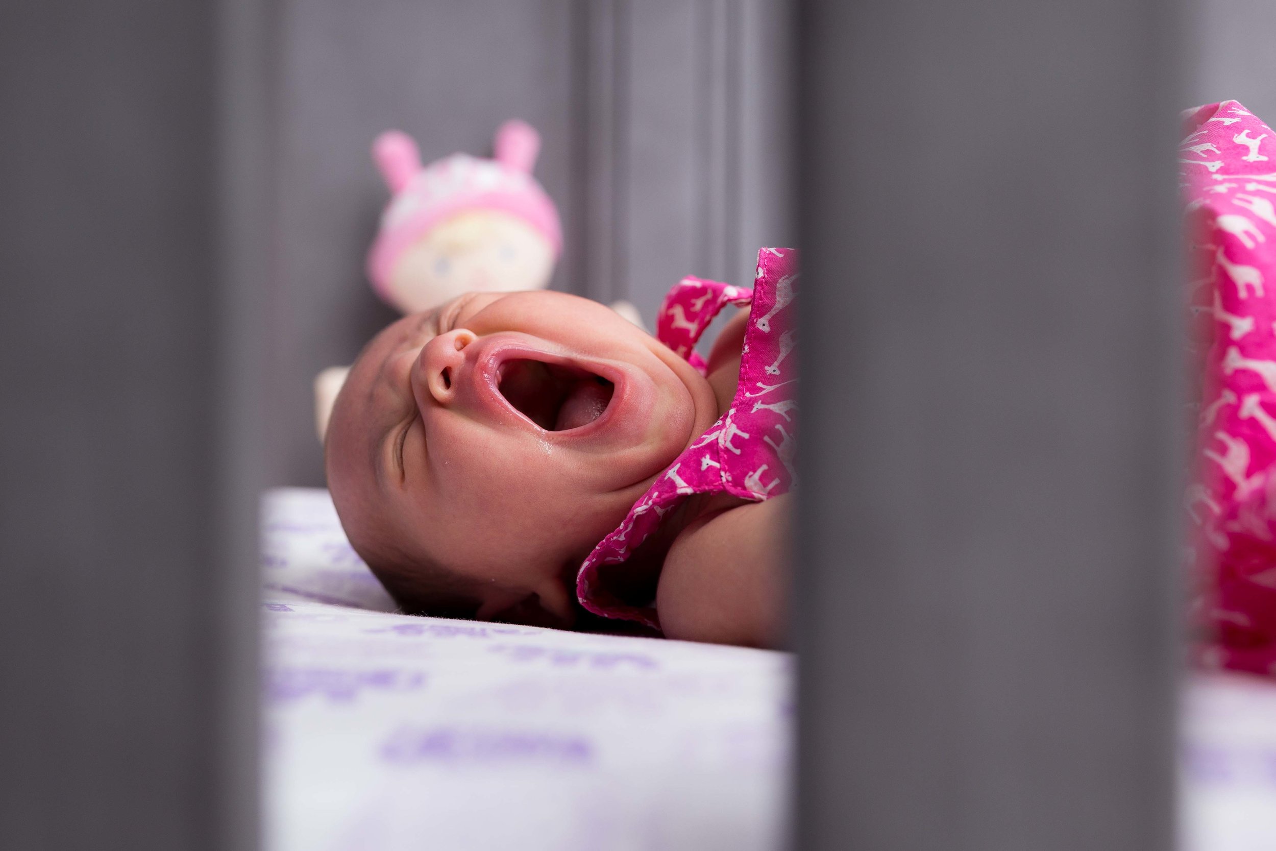 morris county newborn photographer