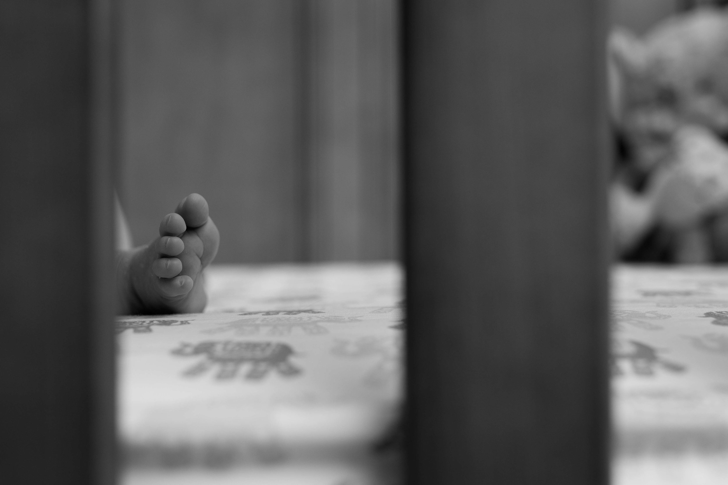 morris county newborn photographer