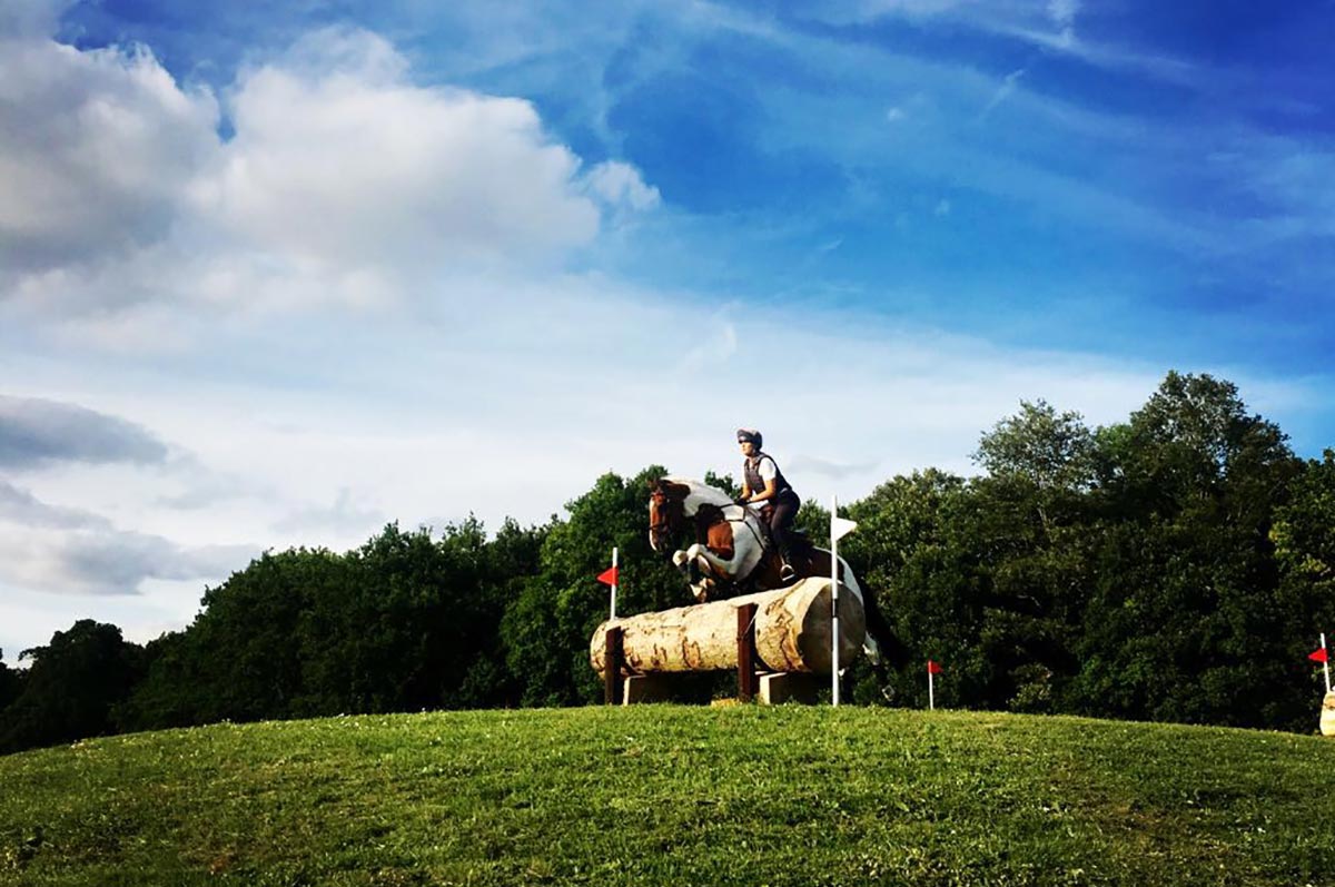 gallery-jump-horse.jpg