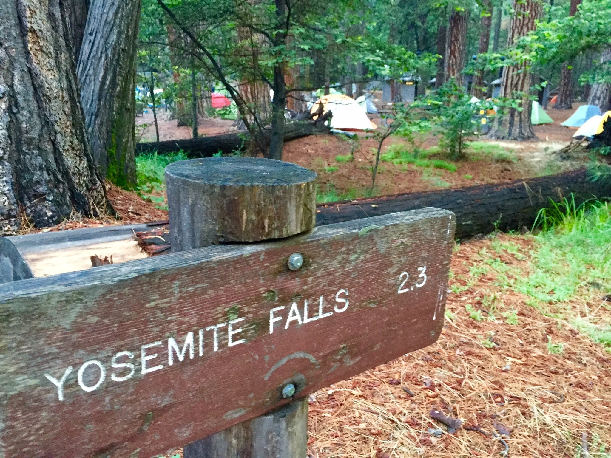 Day 1: North Pines -> Bridalveil Creek